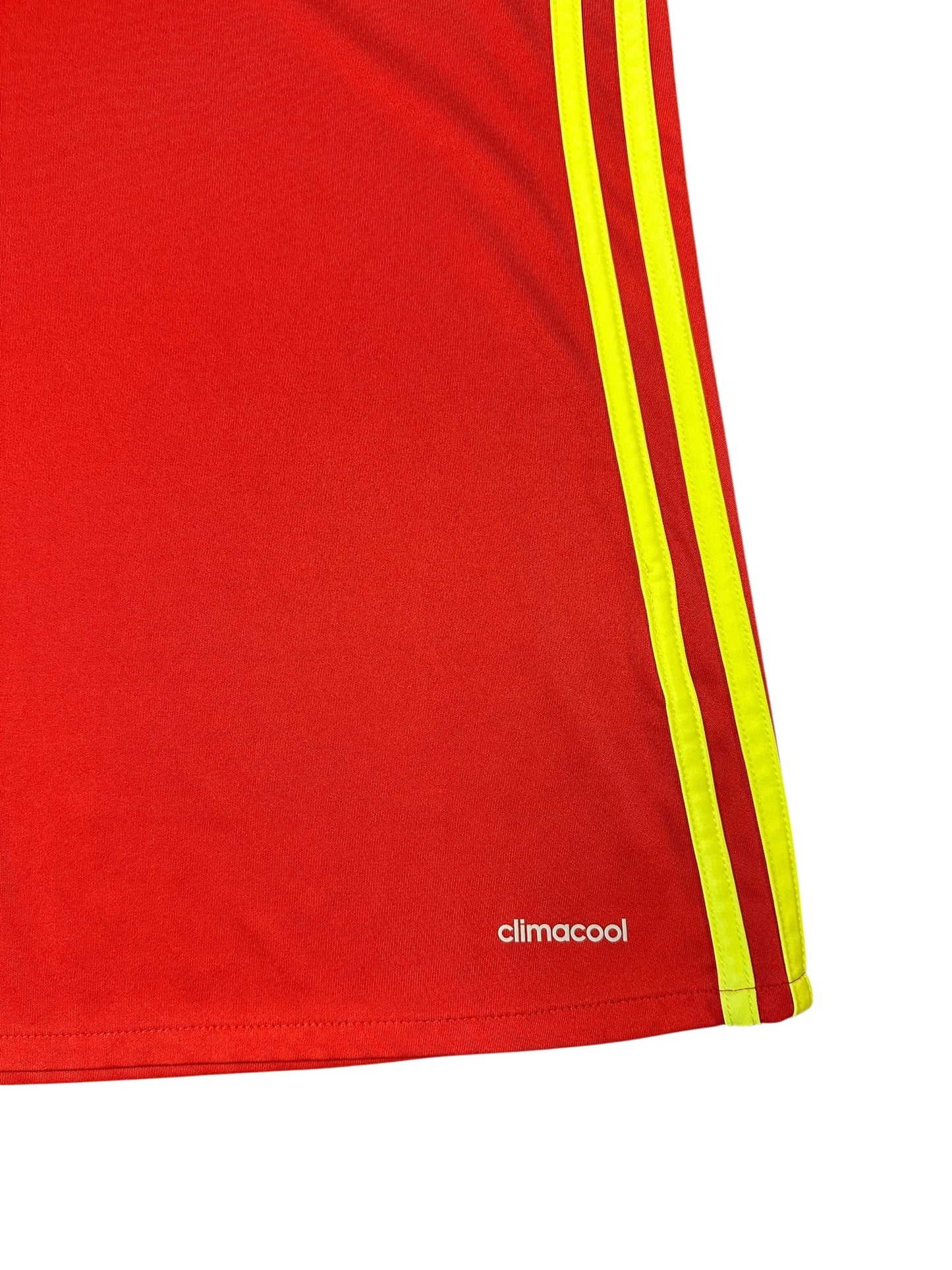 Belgium 2016/17 Home (L)