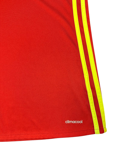 Belgium 2016/17 Home (L)